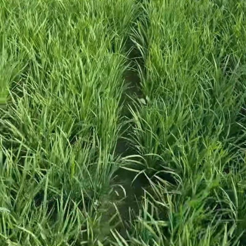 记录一下