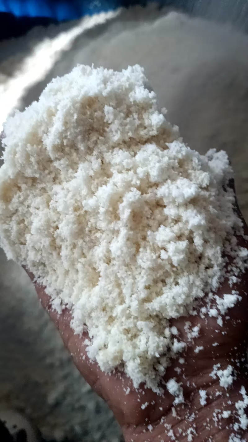 大量供应新鲜湿豆渣