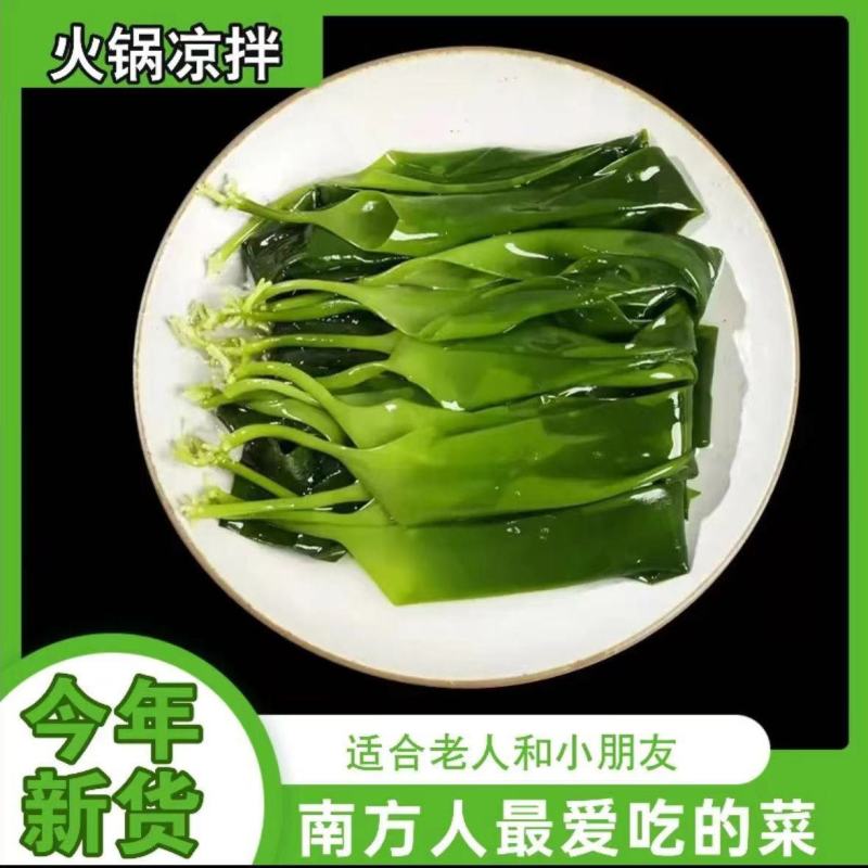 霞浦海带苗嫩牙嫩苗新鲜火锅凉拌食材海带商用批发干货