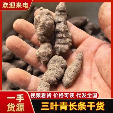 野生三叶青长条干货，中药材批发，规格齐全，量大从优