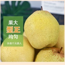 雪梨，脆甜多汁，产地直销，价格优惠，欢迎看货