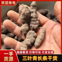 三叶青干货，鲜货，一手货源，量大从优，欢迎采购。