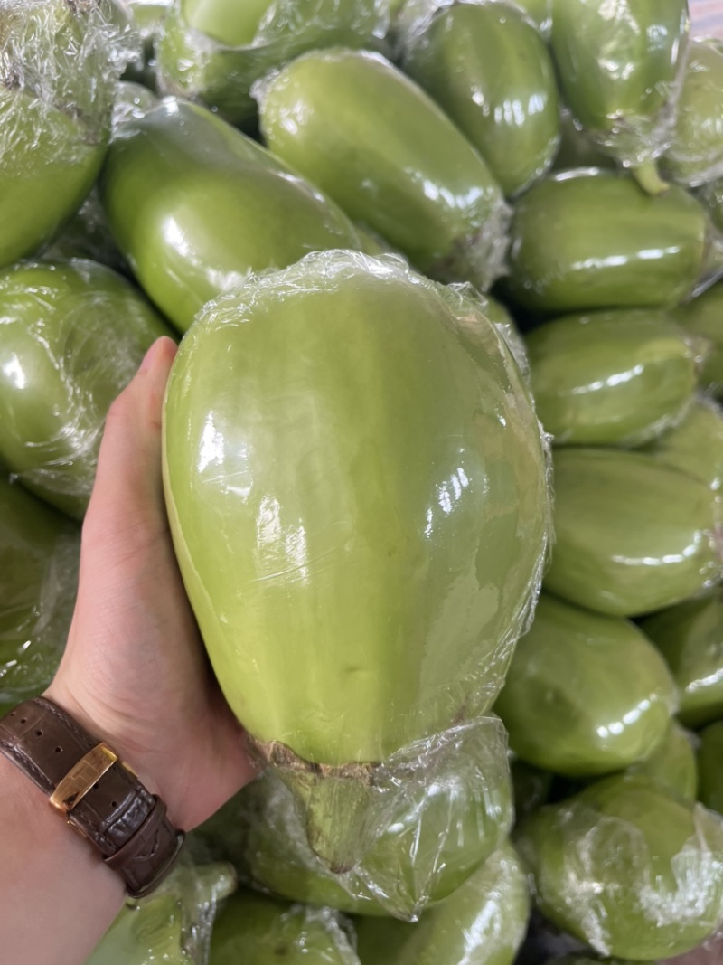 青茄头茬青茄市场货电商货一件代发