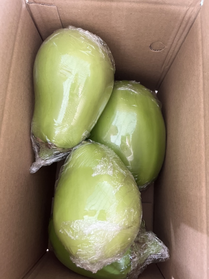 青茄头茬青茄市场货电商货一件代发