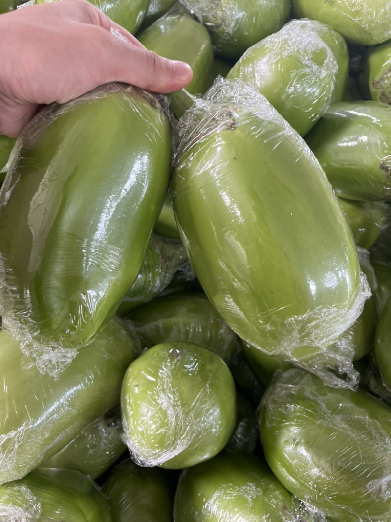 青茄头茬青茄市场货电商货一件代发