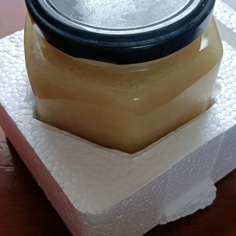 【包邮】土蜂蜜量大质优价格优惠一手货源支持视频看货