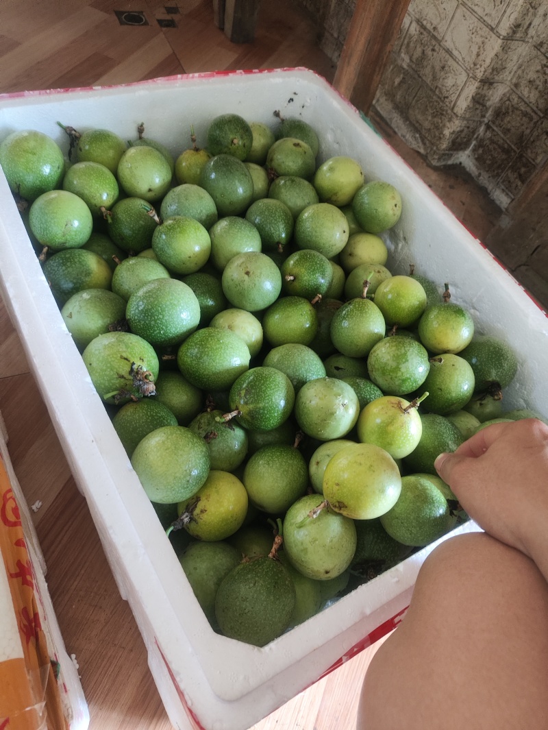黄金百香果