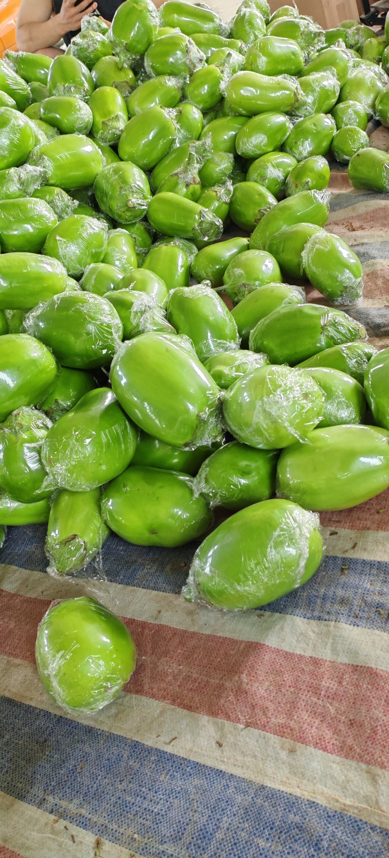 安阳头茬青茄，支持电商市场一件代发