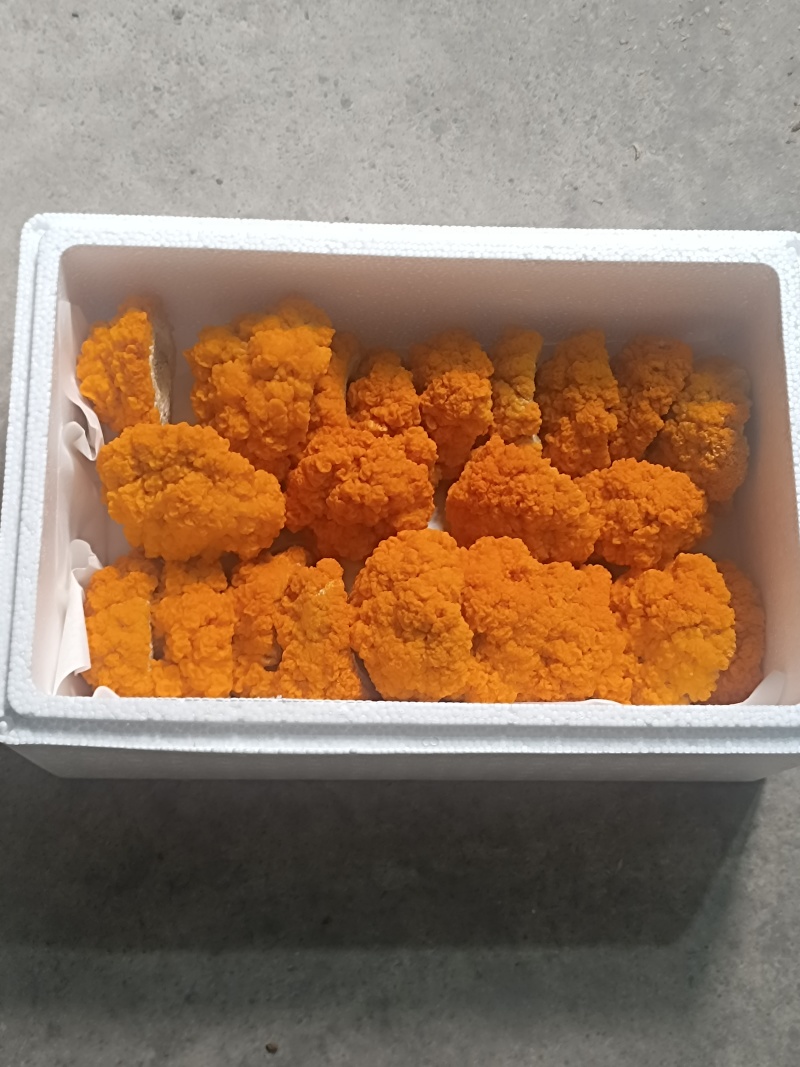 金耳菌优质品质保质保量自家培育干净卫生