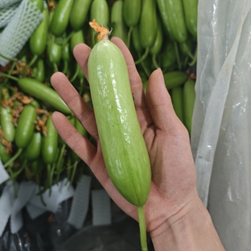 奶油黄瓜