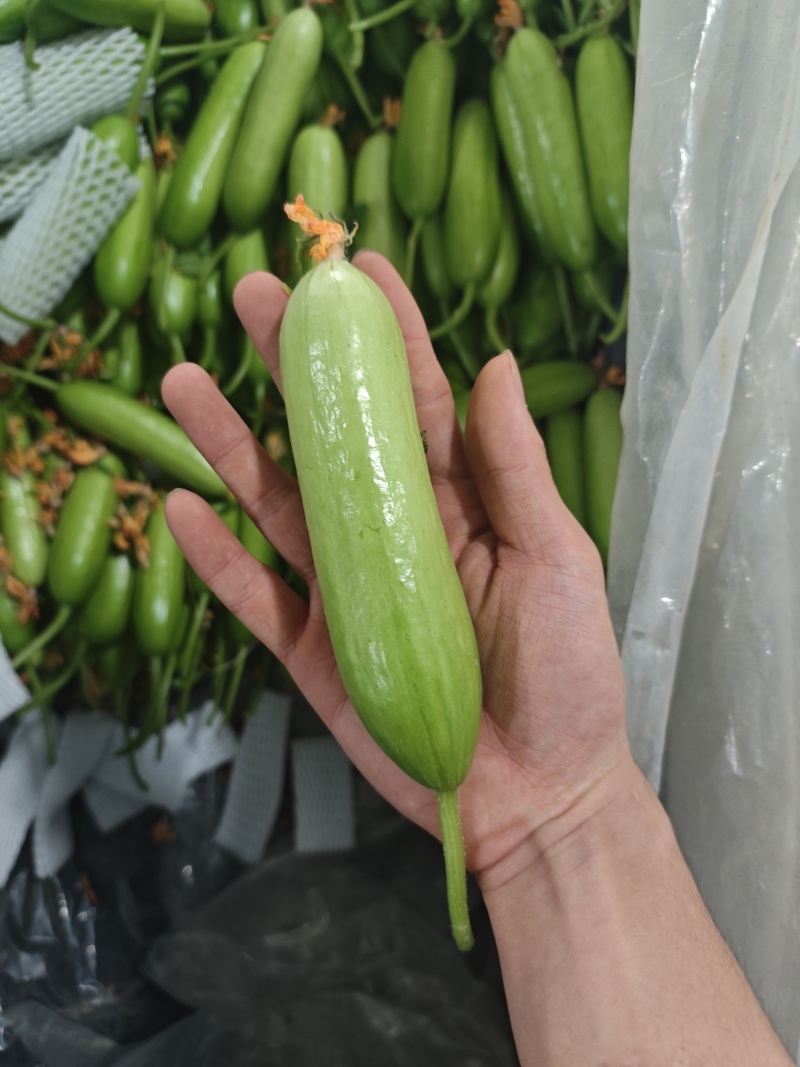 奶油黄瓜