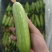 奶油黄瓜