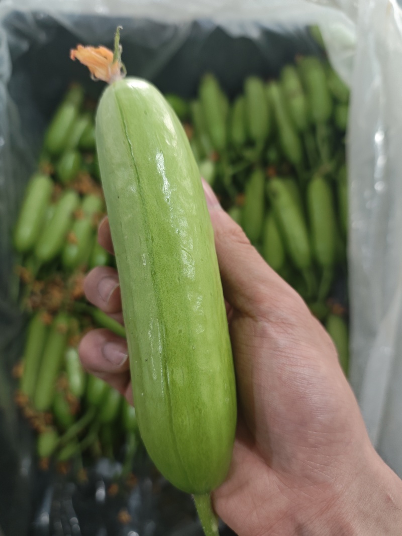 奶油黄瓜