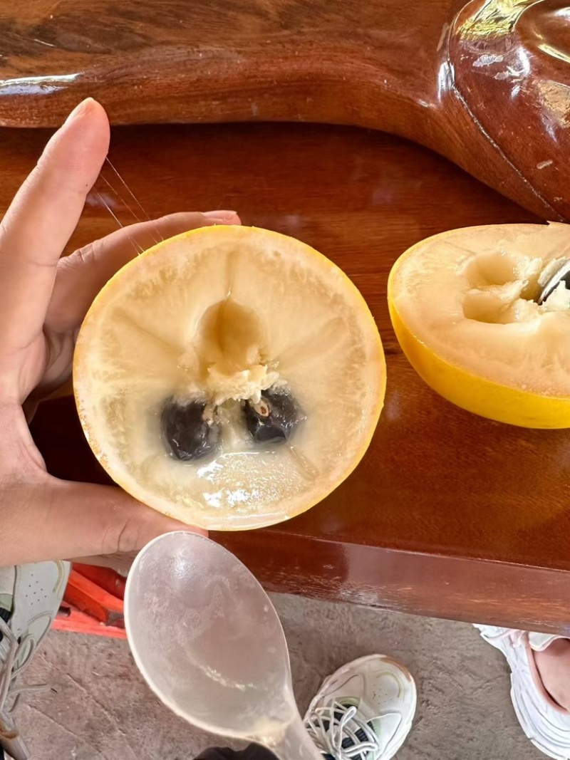 黄晶果云南黄晶果批发电商商超，市场货量大