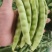 豆角