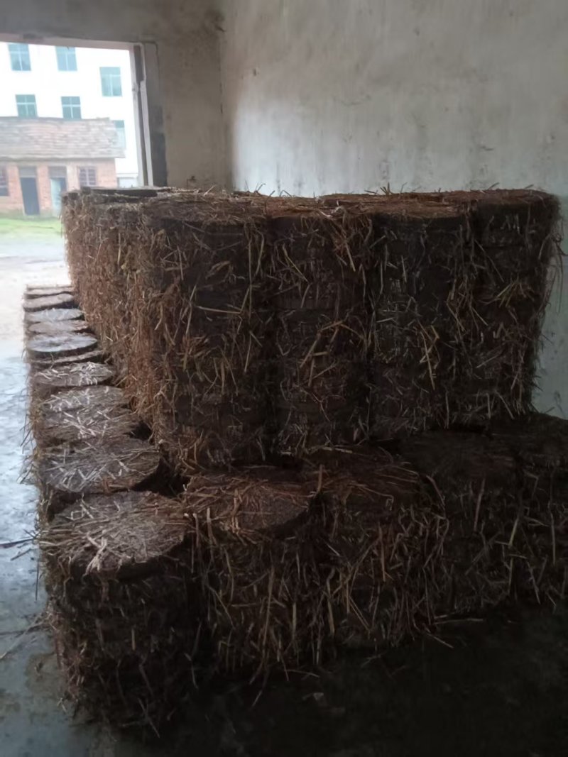 清塘茶粕水产养殖