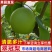 四川眉山精品脆冠梨翠冠梨水果汁水甘甜多汁新鲜大量现货