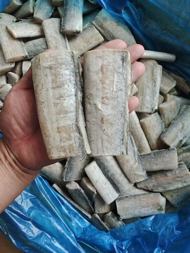 带鱼段实拍，都是中段，肉厚