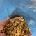 玉米发酵饲料