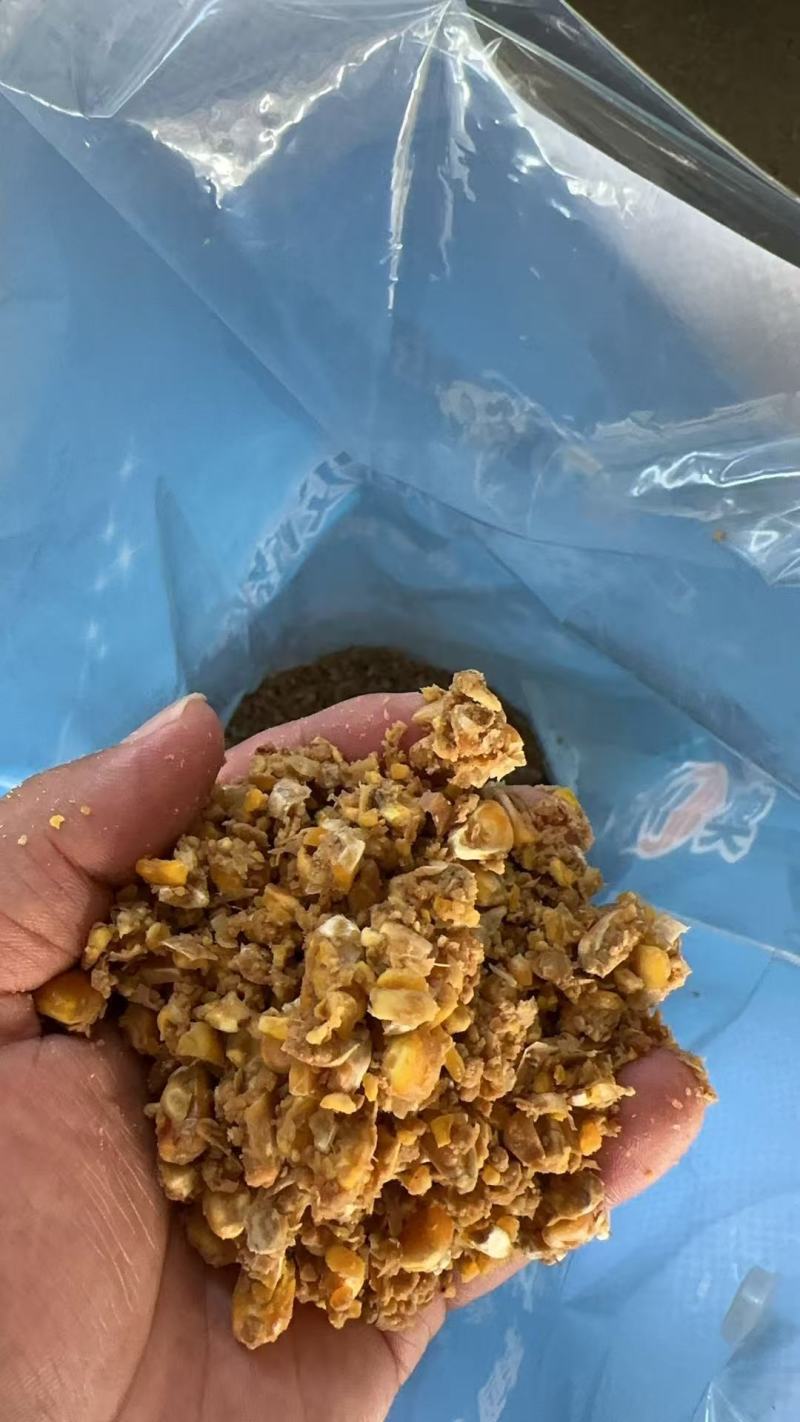 玉米发酵饲料