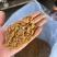 玉米发酵饲料
