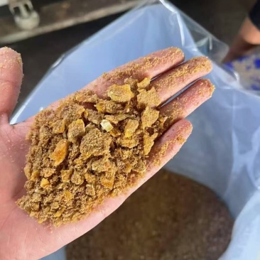 玉米发酵饲料