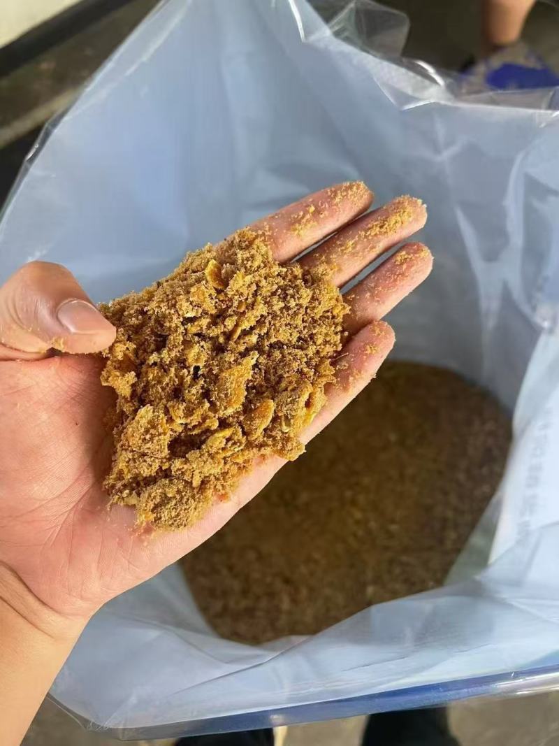 玉米发酵饲料