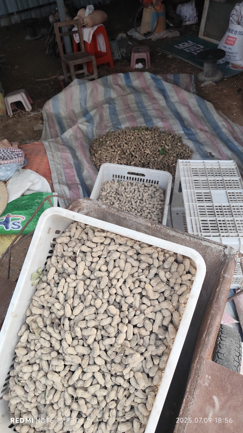 农家自种炒熟榨花生油，方桶规格10斤，5斤，圆瓶1斤