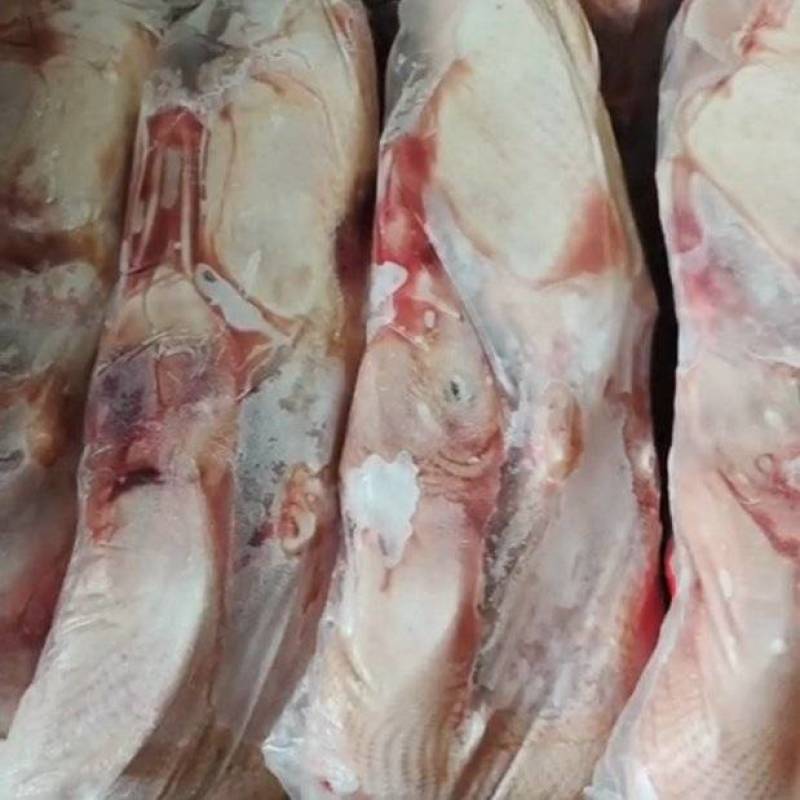 精品白条鸭