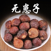 无患子果无患子果皮批发零售量大优惠