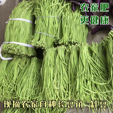 陕西豆角青条豆角货源充足产地直发可视频看货欢迎致电