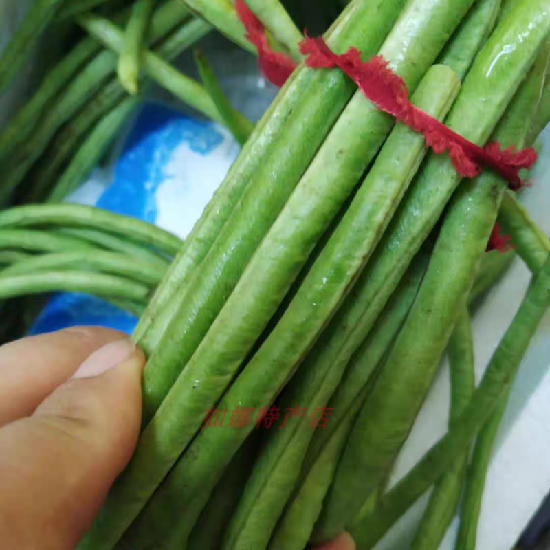 陕西豆角青条豆角货源充足产地直发可视频看货欢迎致电