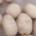 土豆