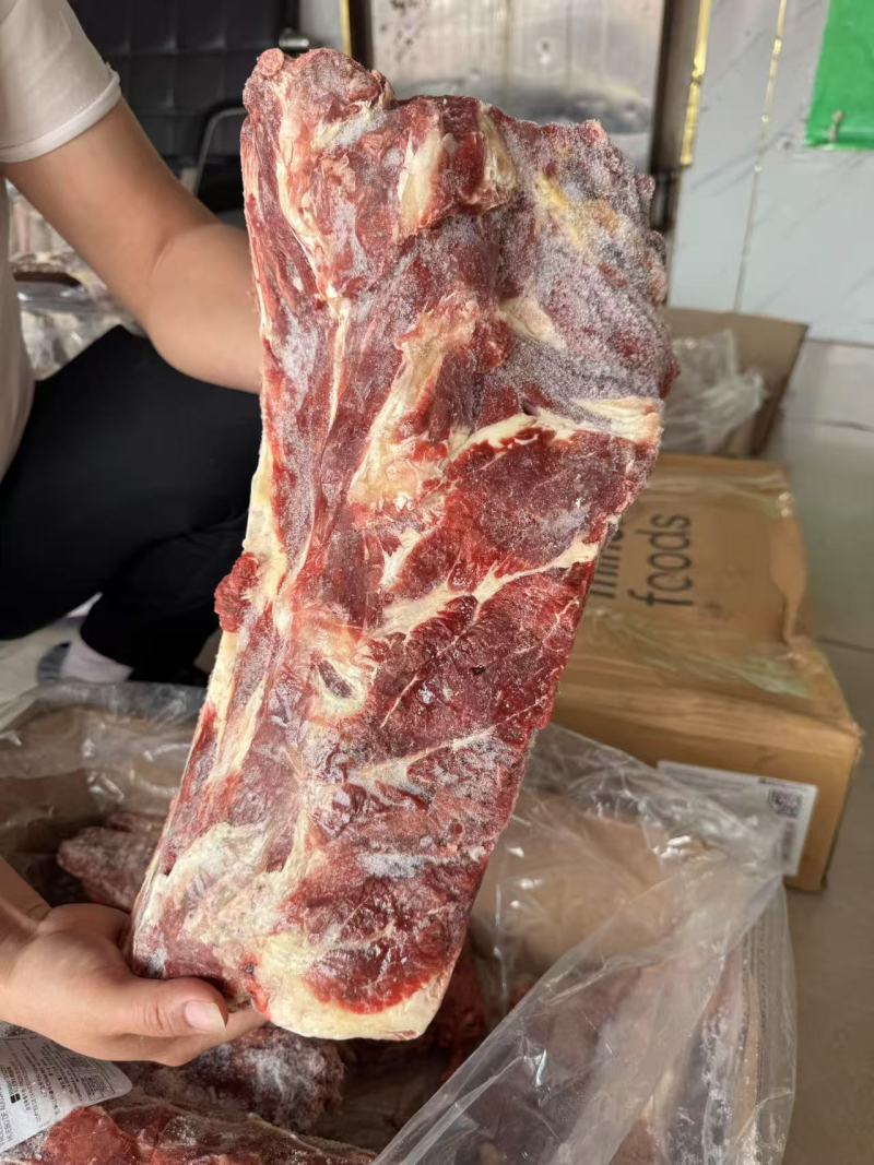 牛肩胛骨
