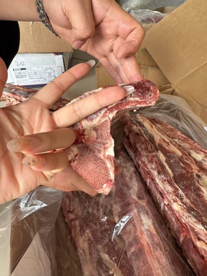 牛肩胛骨