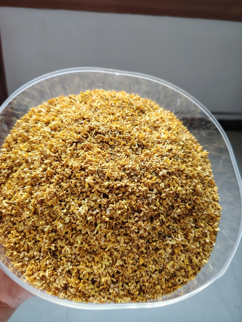 广西精品新鲜干桂花桂花干农副干货大量现货