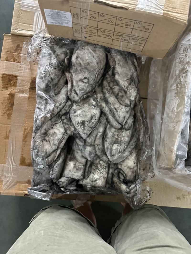 墨鱼干