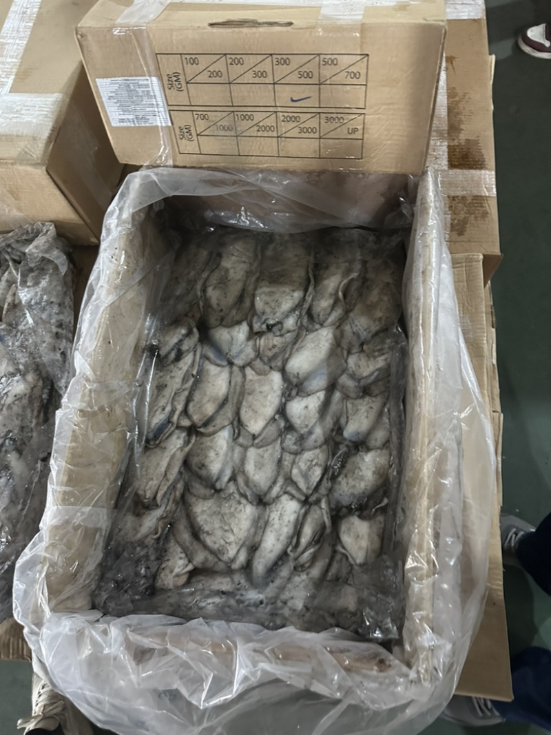 墨鱼干