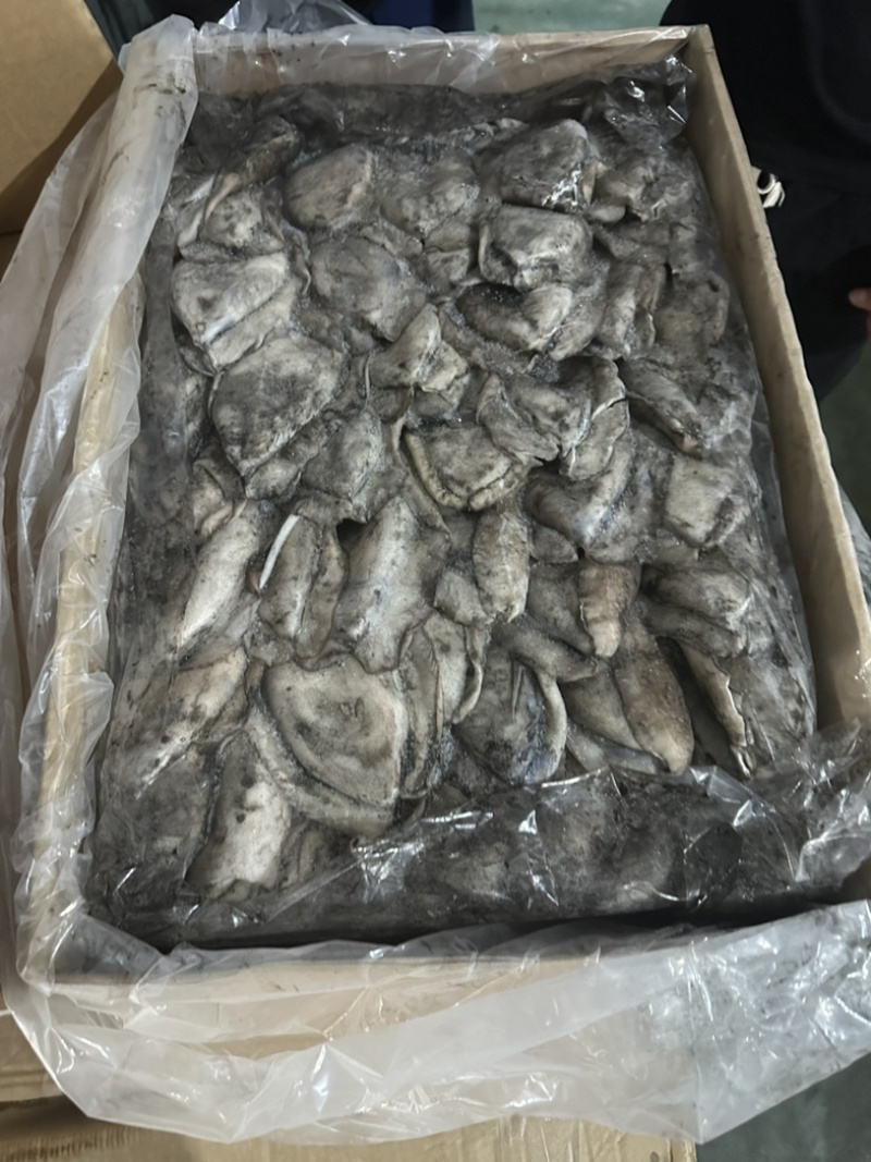 墨鱼干