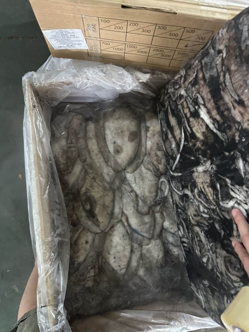墨鱼干