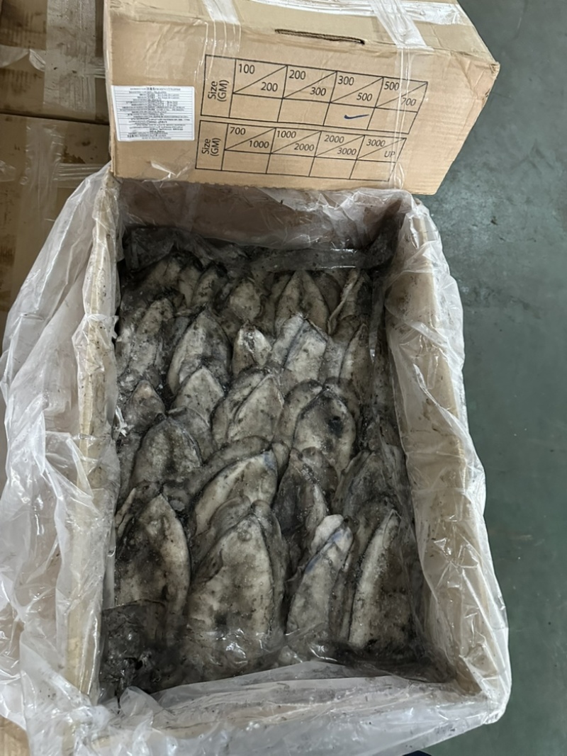 墨鱼干