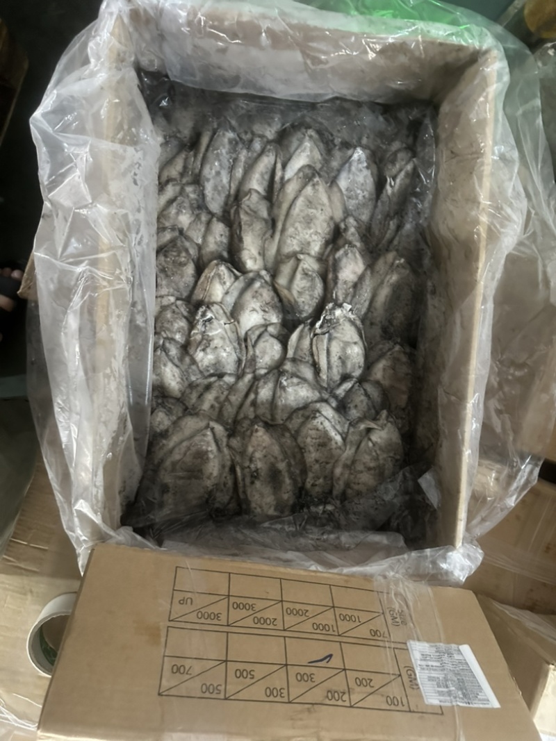 墨鱼干