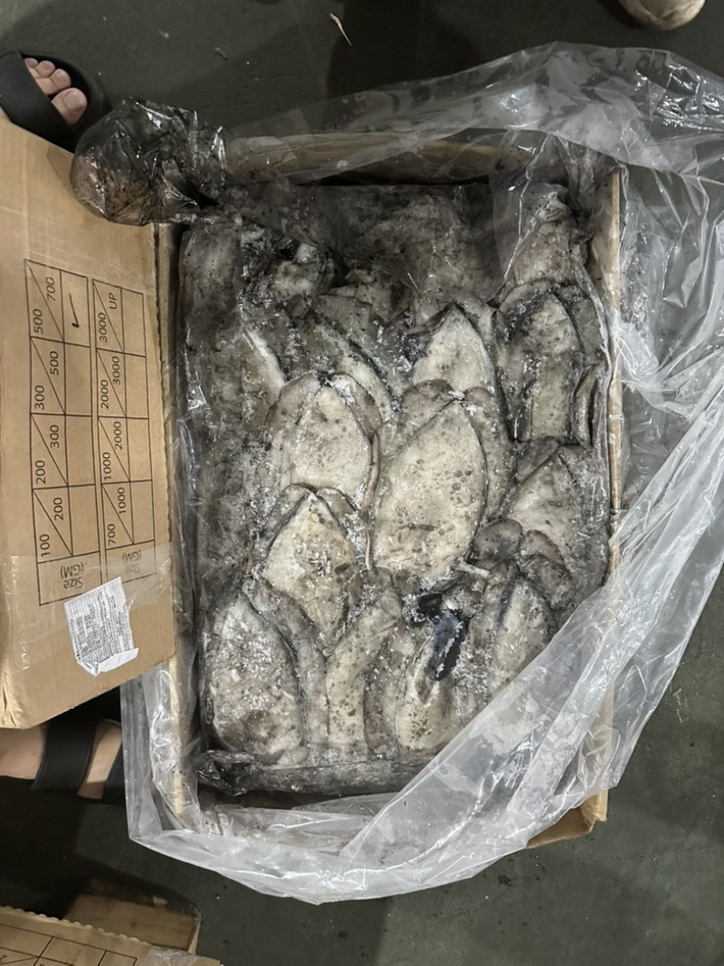 墨鱼干