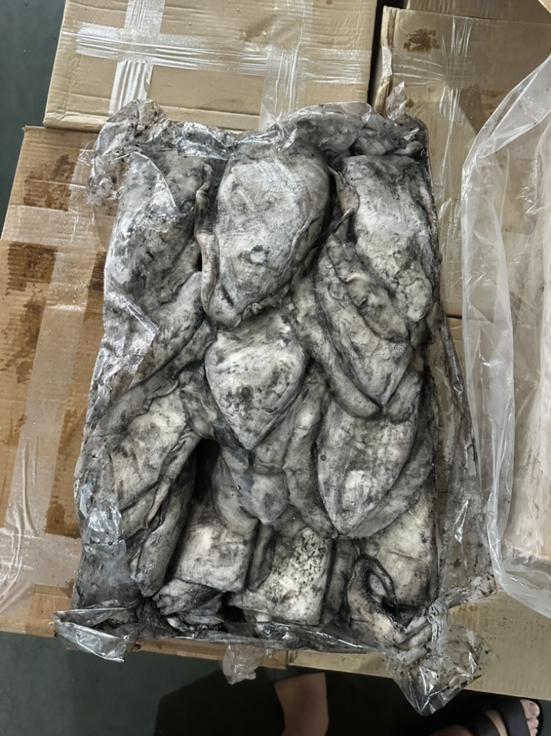 墨鱼干