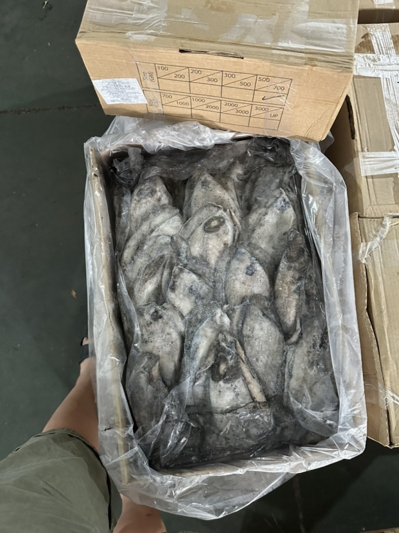 墨鱼干