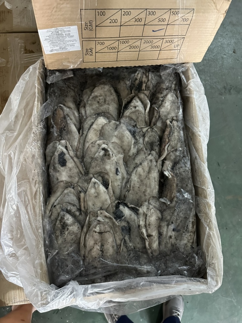 墨鱼干