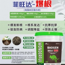 爆发新根，抗寒抗旱，2天生侧根，5天生主根，7天满地生根