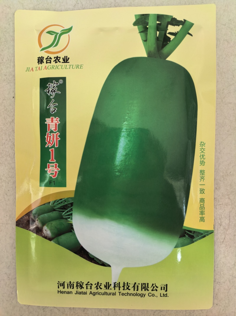 杂交青萝卜种子青妍一号青皮绿肉甜脆高产秋播耐寒白萝卜种子