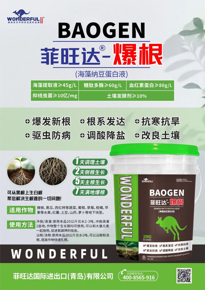 爆发新根，抗寒抗旱，2天生侧根，5天生主根，7天满地生根