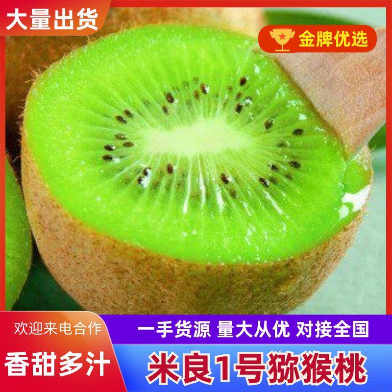 猕猴桃米良一号产地直发大量上市，大量提供电商、市场、超市